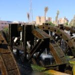 Escape to Fayoum: A Relaxing Retreat in Egypt's Best-Kept Secret