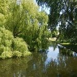 Exploring London's Green Oasis: A Guide to the City's Parks