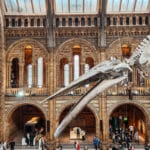 Exploring London: The Ultimate Guide to Recreational Activities