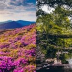 Exploring India's Natural Wonders: A Guide to Must-See Landmarks