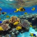 From Desert Safari to Coral Reefs: The Rich Tapestry of Sharm El Sheikh
