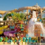 Sunny Days and Waterslides: The Wild Wadi Waterpark Experience