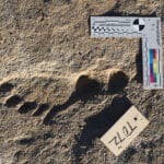 Step Back in Time: Exploring the Rich History of the USA on Foot