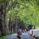 Step by Step: Uncovering London's Best Walking Trails