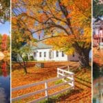 Fall Foliage Delights: Top Destinations to Explore in October