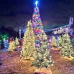 Stay Merry and Bright: Top Cultural Holiday Events to Attend