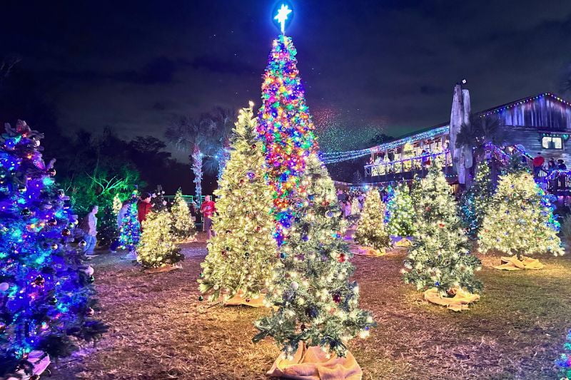 christmas in orlando things to do events christmas tree forest wekiva island image by dani meyering1730060913