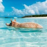 May Travel Guide: Unmissable Places to Visit This Month