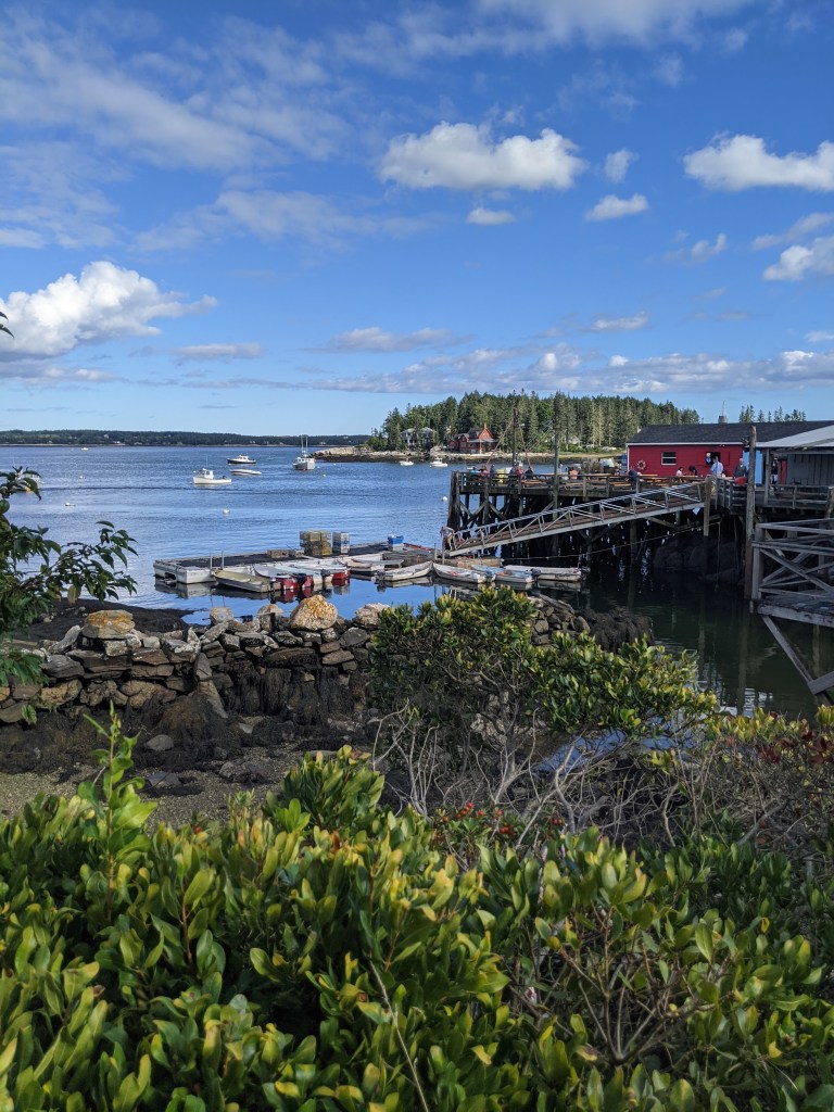 five island lobster co
