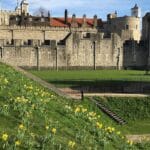 Unveiling London: A Visual Guide to Must-See Sights on Tours