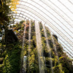 Unveiling the Enchanting Gardens by the Bay: A Complete Guide