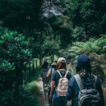 Singapore's Best Hiking Trails