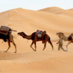 Exotic Morocco Tours: Unveiling North Africa's Best-Kept Secrets