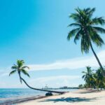 best tourist destinations in florida